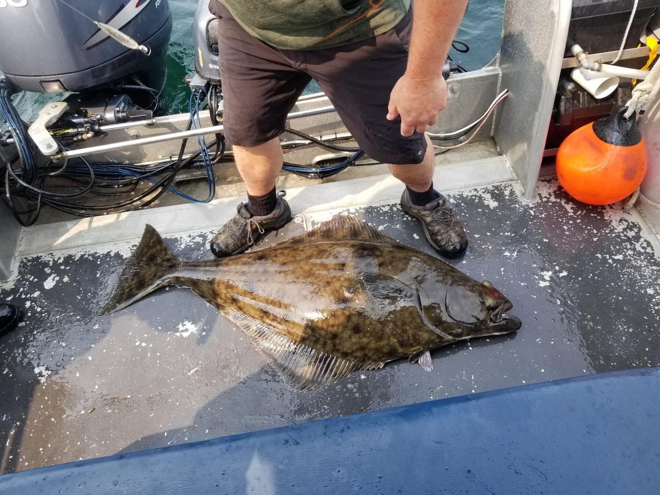 Wild West Sportfishing — Vancouver Island salmon charters & coastal tours