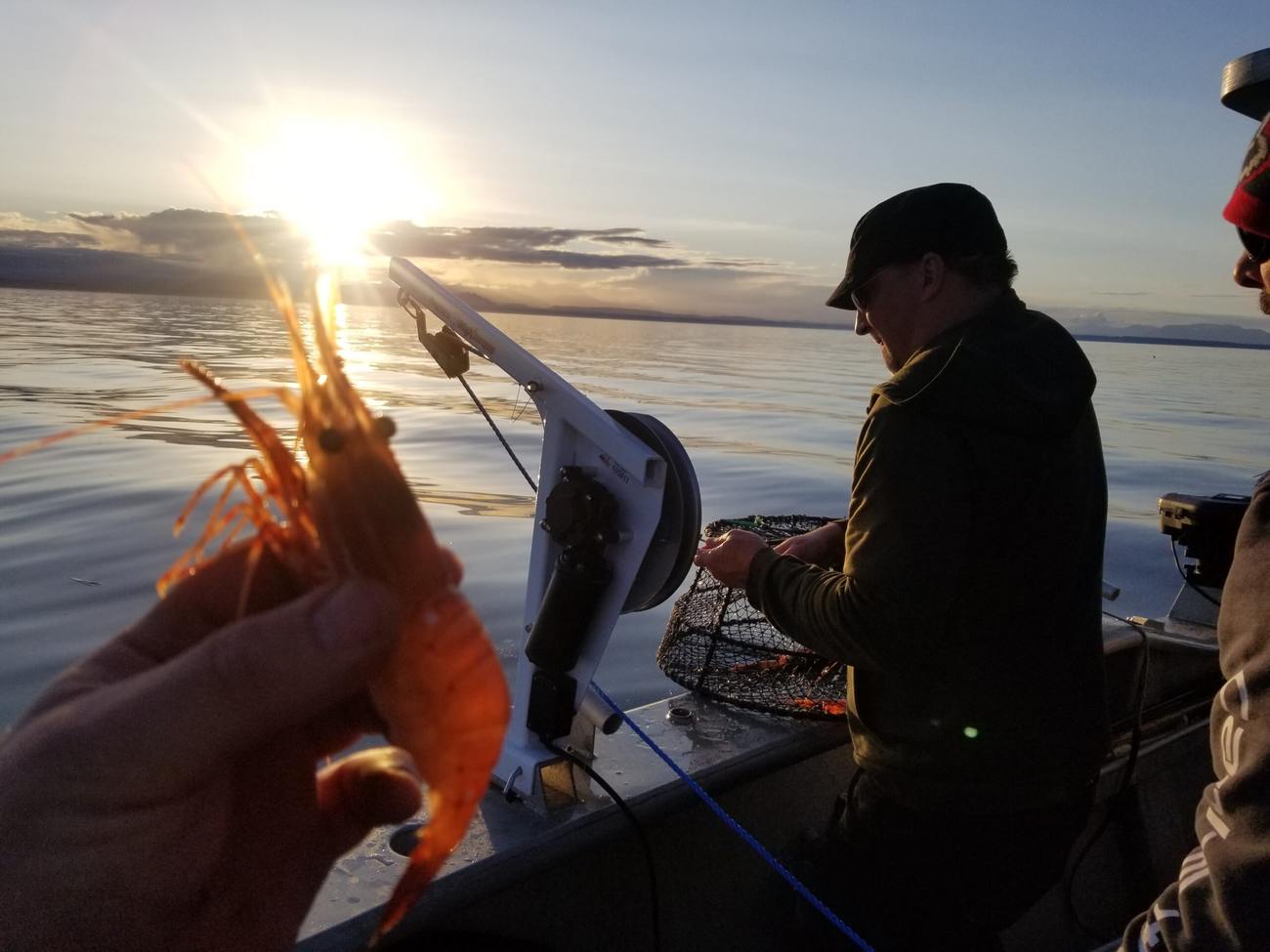 Wild West Sportfishing — Vancouver Island salmon charters & coastal tours