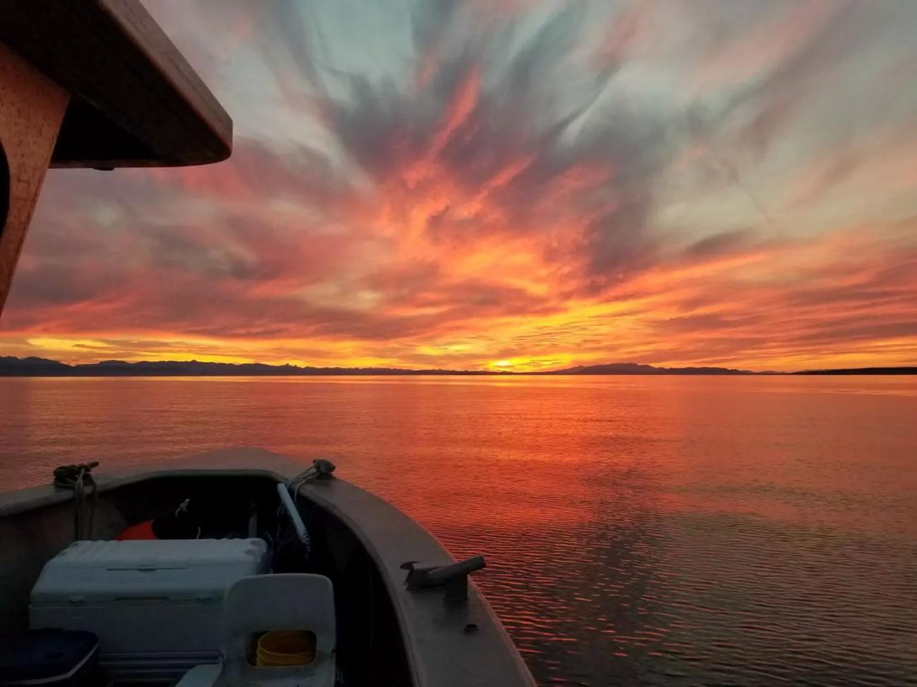 Wild West Sportfishing — Vancouver Island salmon charters & coastal tours