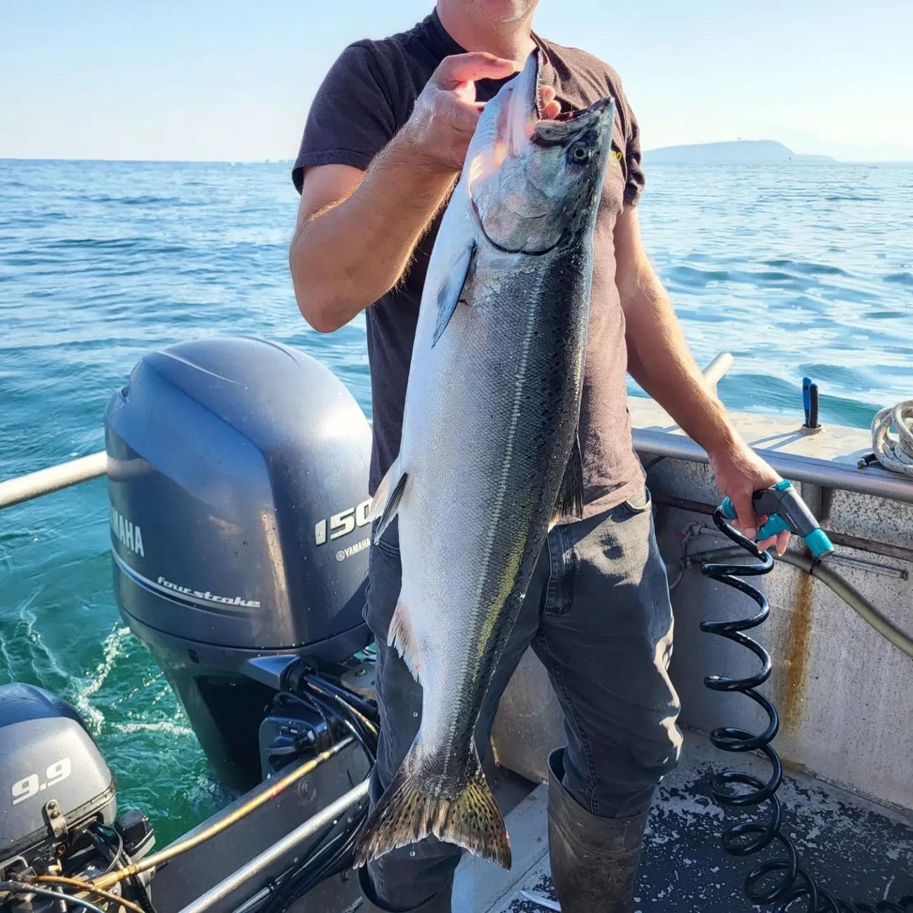 Wild West Sportfishing — Vancouver Island salmon charters & coastal tours